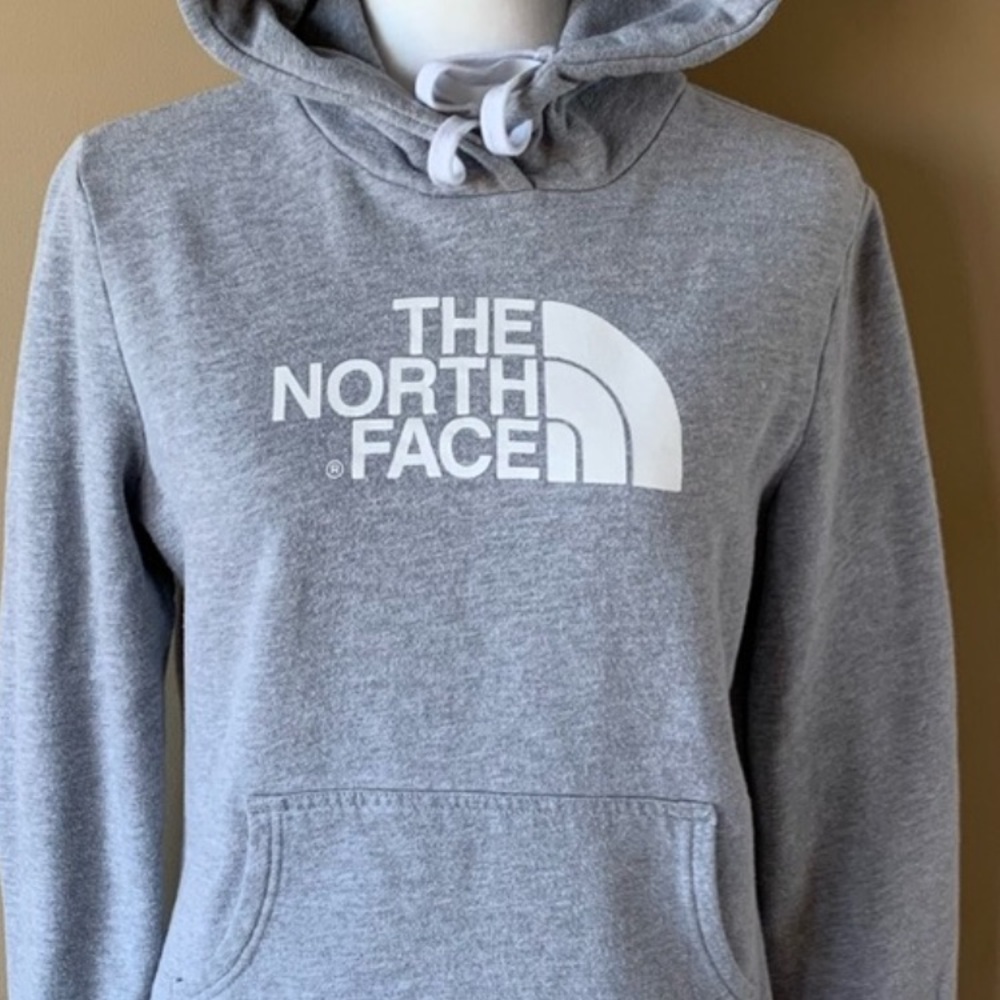 The north face sweatshirt